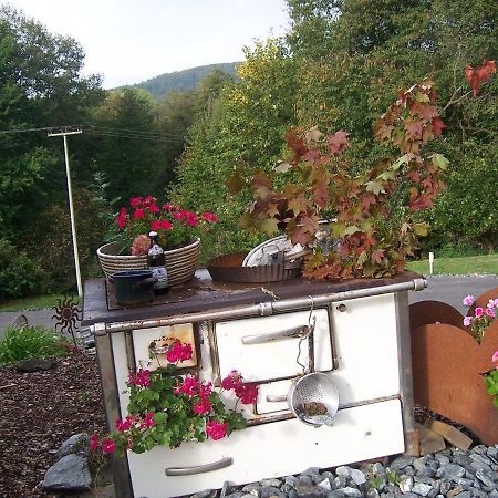 Apartamento Ferienoase Im Zottbachtal Pleystein Exterior foto